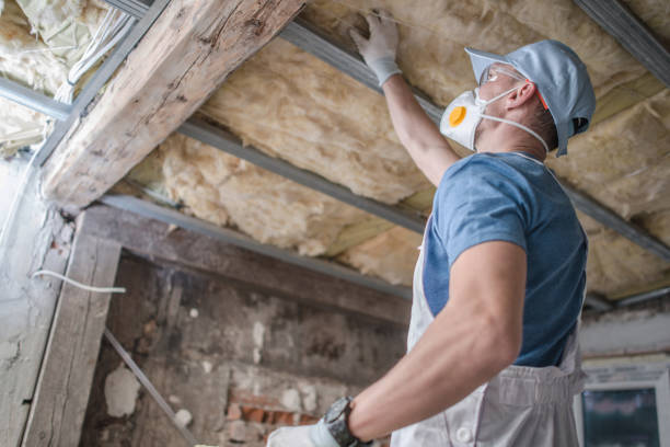 Best Insulation Removal Services  in Green Tree, PA