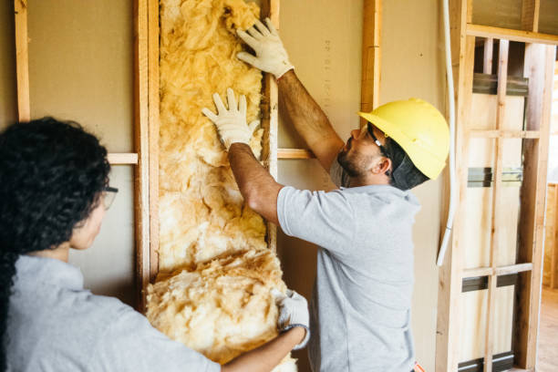 Best Insulation Contractor Near Me  in Green Tree, PA